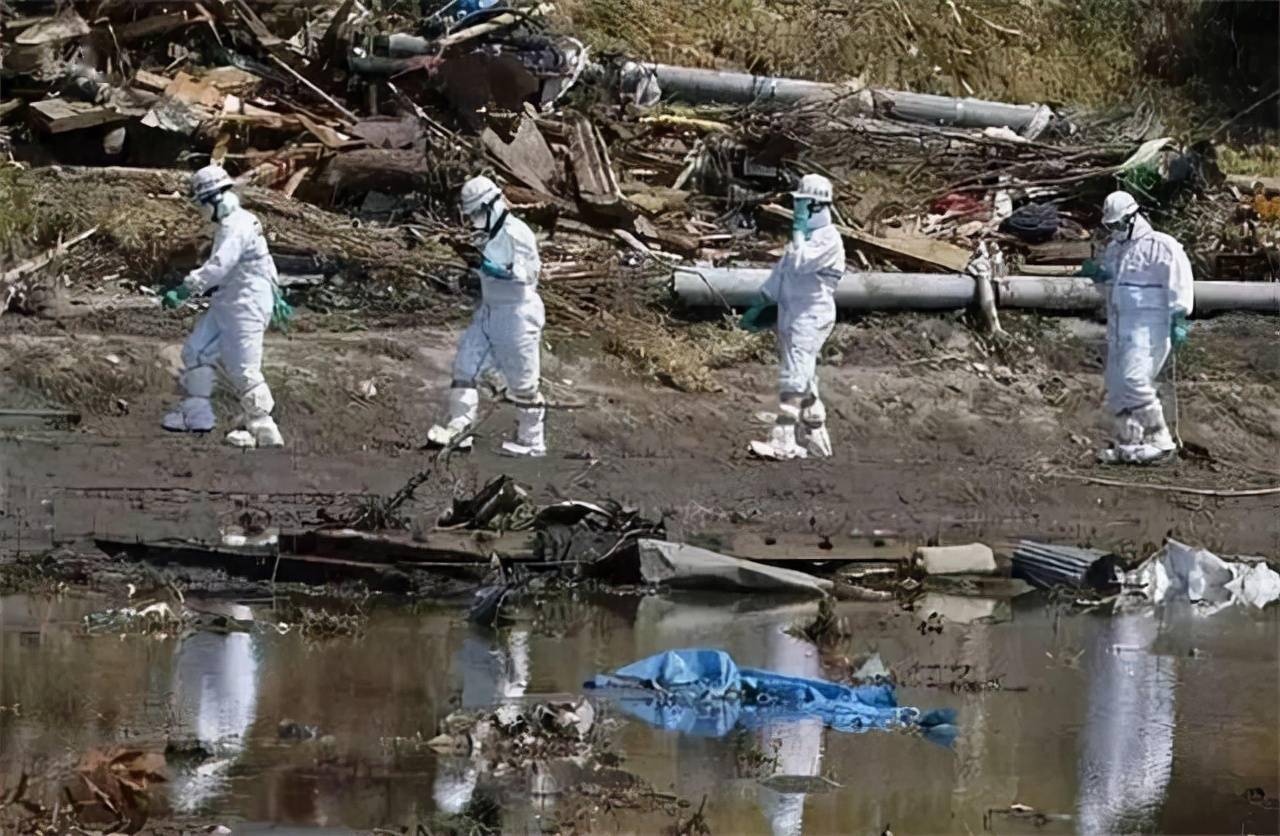 日本才向海洋排放核废水，就有多条大型鱼类异常死亡（核污染）
