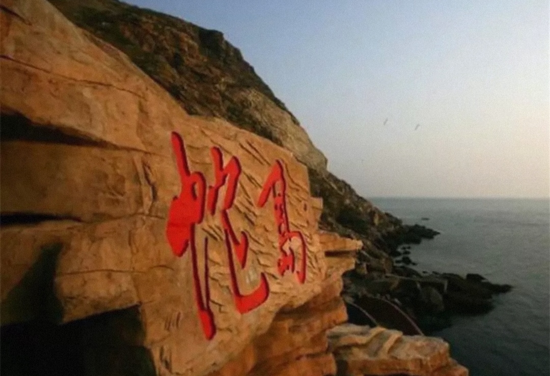 被称为人类禁地，巴西蛇岛毁坏人肉，一条蛇20多万 (却有此事)