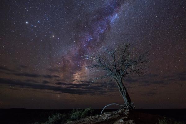 2029年4月14日，最危险的“毁神星”将接近地球（小行星的来临）