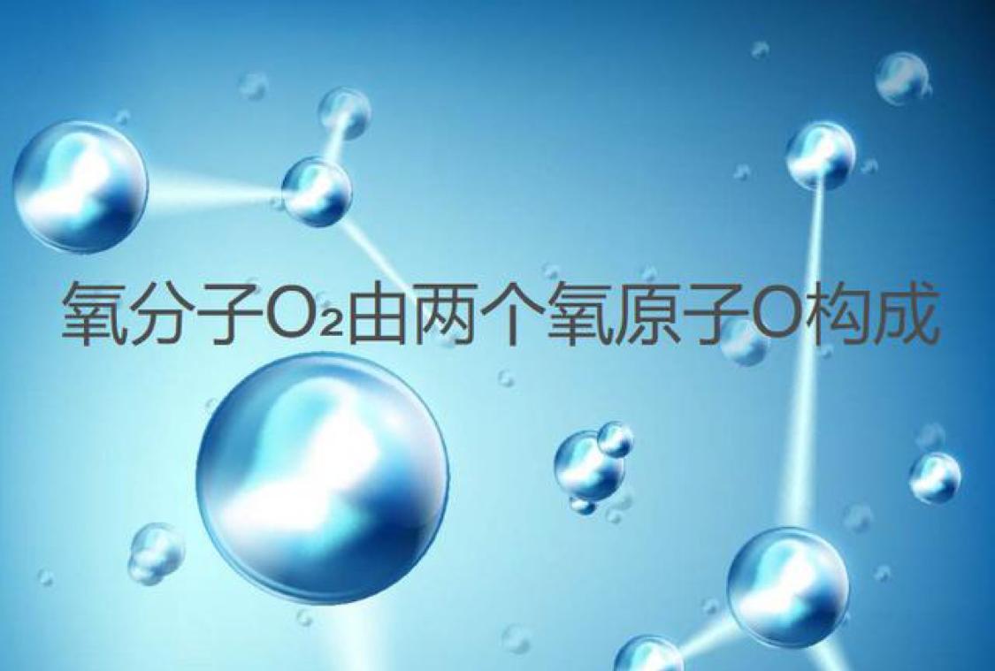 “厌氧动物”出现，科学家不清楚代谢方式，或颠覆对生命的认知
