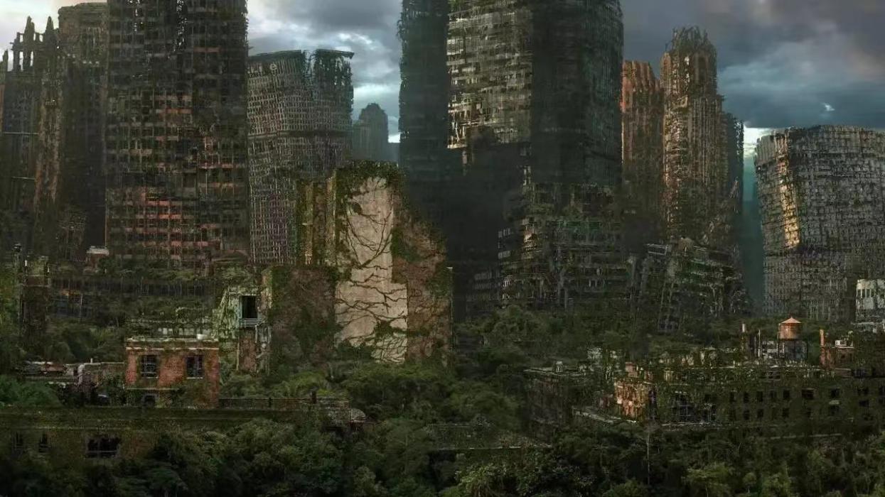 如果人类会消失，那么什么生物将会成为地球的统治者？