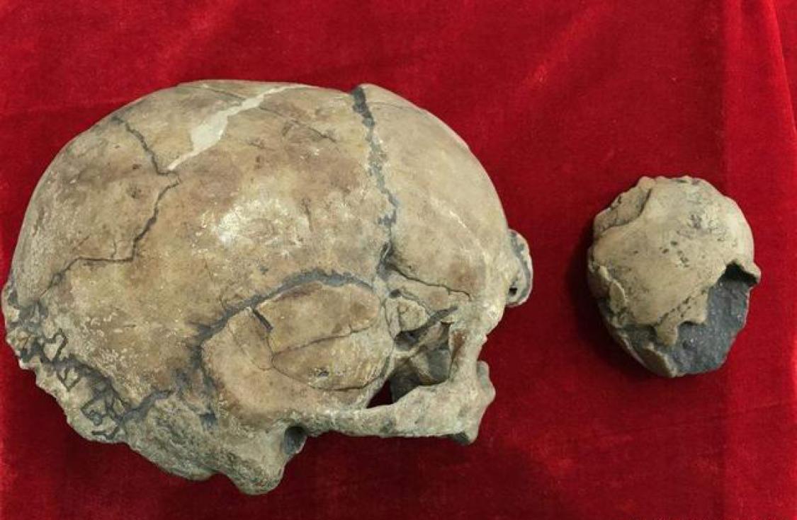 青藏高原发现22.6万年前手印，坚硬石板上清晰可见，谁留下的？
