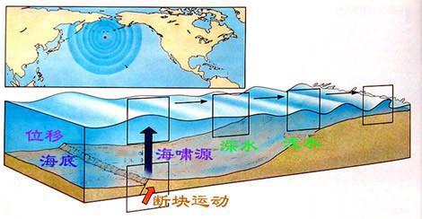 倘若遇见50米高的海啸，是跑向内陆好，还是迎面扎进水里好？