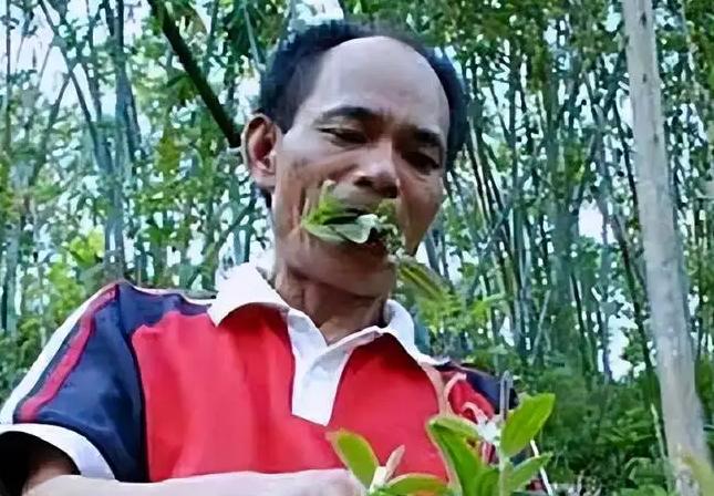 一男子因口渴偶然吃下一种草，从此上瘾34年吃了40吨 （异食癖）