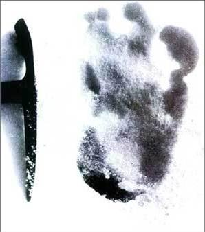雪怪真实存在，还曾被展览！（2.8米超级雪怪）