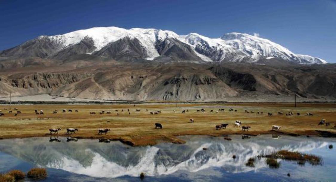 我国的生命禁区：昆仑山死亡谷（生物都会离奇死亡）