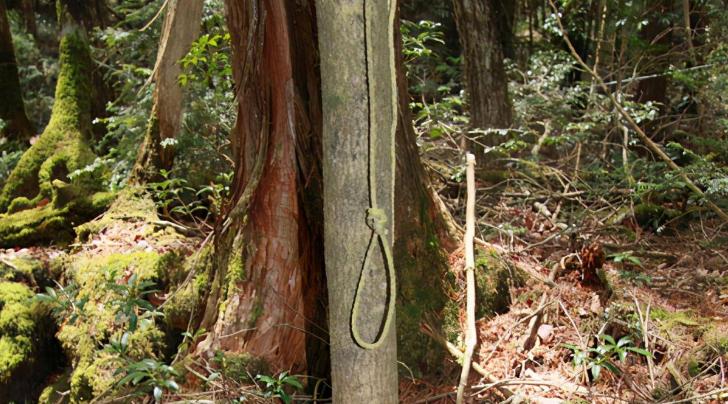 日本的自杀森林充满怨咒，发现500具尸体（恐怖的自杀森林）