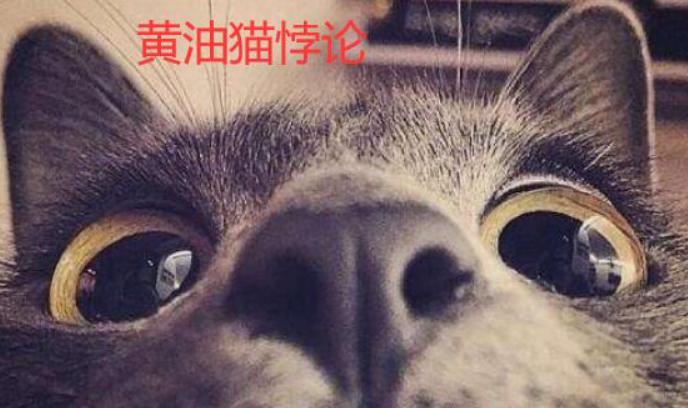 什么是黄油猫悖论，解密永动猫不存在的真相