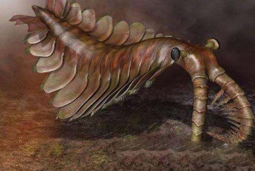 泥盆纪史前巨型生物：恐龙只是一条鱼（史前探究）