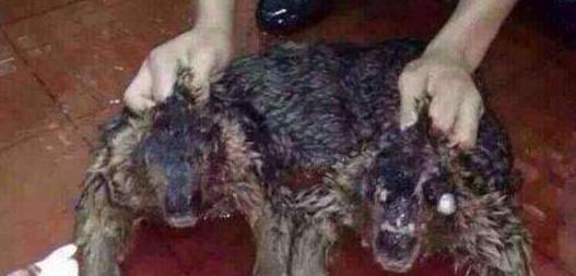 揭秘最真实的水鬼图片 水猴子强迫人落水当替死鬼