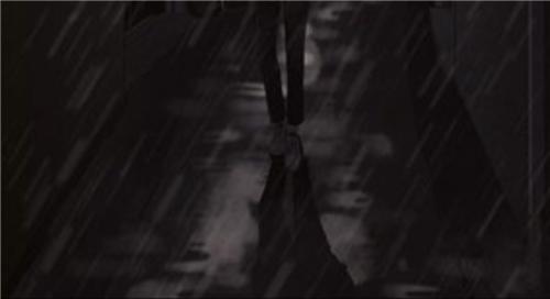 雨夜屠夫：杀完女性后肢解并欣赏（心理变态）