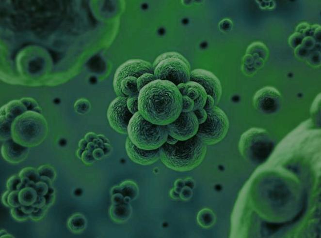 太空舱外惊现外星微生物有部分竟出自地球（外星微生物来自地球）