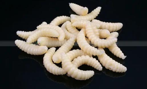 200元一斤的高价的菲律宾蠕虫面条“蛆”，竟还有人（抢着吃）