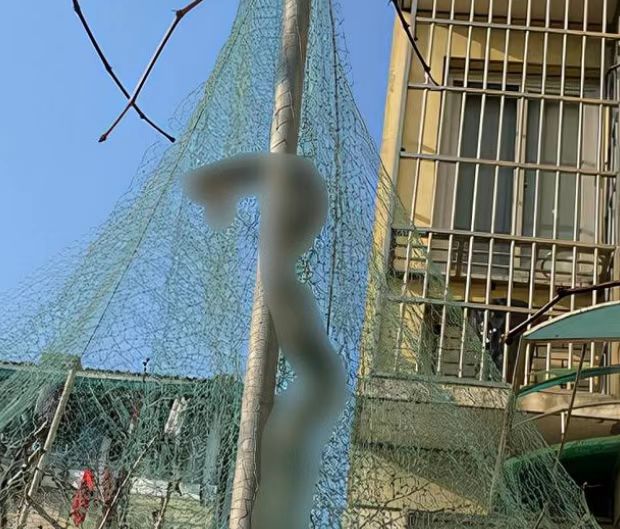 如果一条大蛇被巨蛇缠住，那么戳其要害真的能顺利逃脱吗？