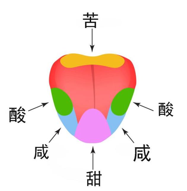 美国科学院发布睾丸上面会有味觉？外国网友用酱油泡“蛋”