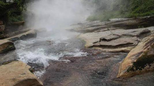 亚马逊雨林中的恐怖河流，水温超过九十度，动物进去就是自杀