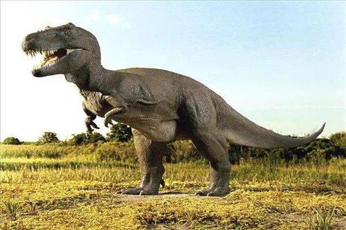 古代生物的高阶进化，霸王龙居然能调节体温