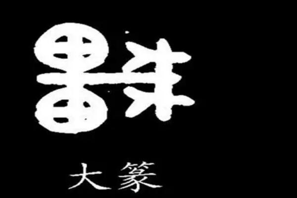 大篆和小篆的区别：小篆诞生的更晚(字形细节都不同)