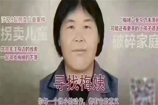 梅姨为什么难抓?画像比较模糊(没有证据证明她的存在)