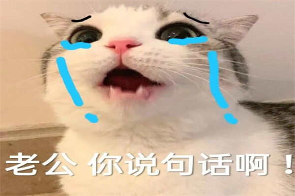 老公你说句话啊什么梗?嘲讽娘炮(情感纠纷导致)