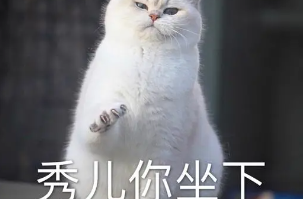 秀儿是你吗什么梗:称赞和调侃的意思(网络流行热梗)