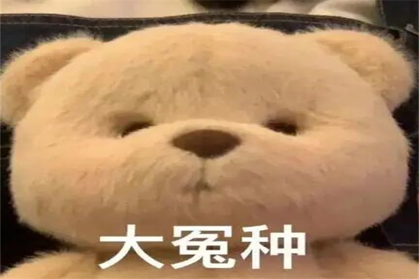 冤种朋友是什么意思?朋友是个冤大头(经常做些搞笑的事情)