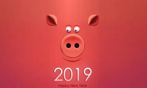 2019年属什么生肖：属猪，该年出生宝宝人缘很好