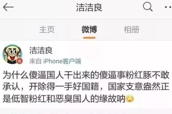 粉红豚是什么意思：满腔热血的爱国人士猪(辱骂爱国人士)