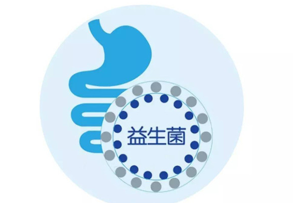 益生菌的功效和作用：有益的活性微生物(促进消化)