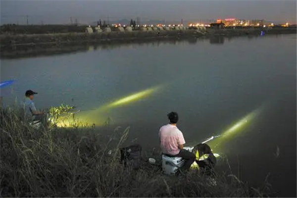 为什么夜钓禁用蓝光灯：伤眼睛（对夜钓者的视力有影响）
