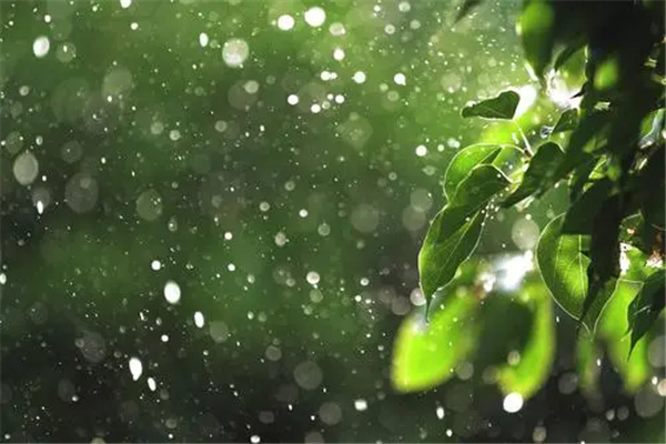 梅雨期是什么时候：六月至七月（持续一个月）