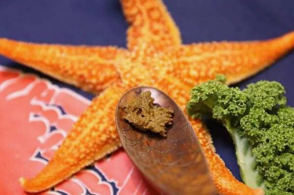 海星能吃吗：海星黄可以食用(部分海星有毒不可食用)