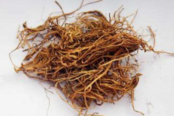 龙胆草的作用和功效：少量服用健胃(大量服用伤胃伤肝)
