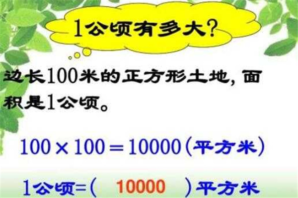 一公顷等于多少平方米：10000平方米（面积单位）