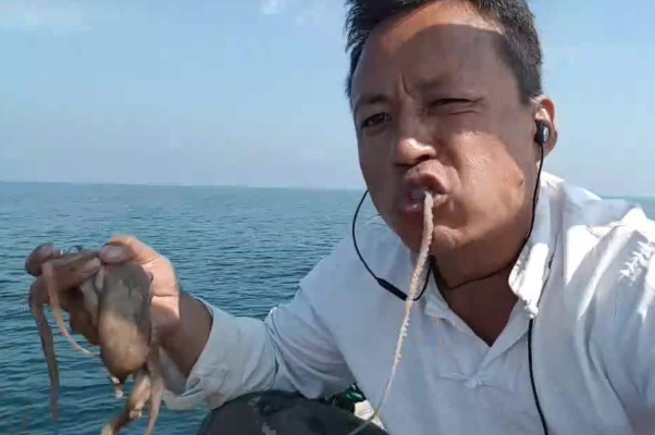 为什么章鱼可以生吃?细腻爽口，最好别生吃(美食毒药)