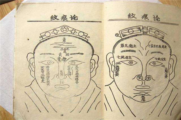 十二种骨相都有哪些 不同骨相有着不同的性格特征