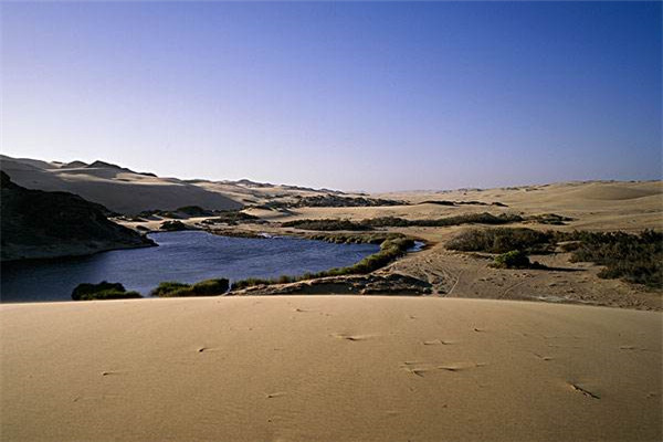 世界上最恐怖的沙滩 纳米比亚骷髅海岸为什么恐怖
