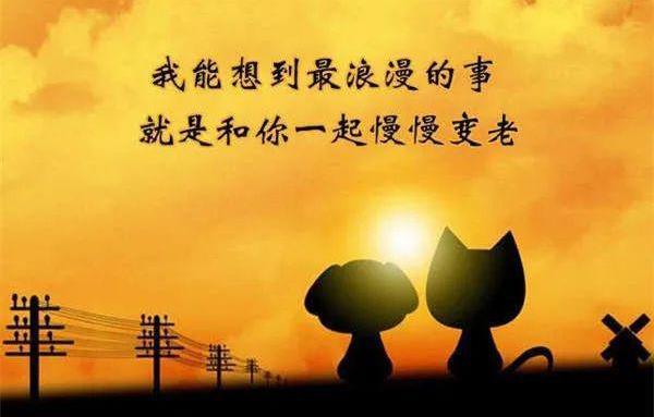 99不88是什么意思，恋人永远在一起（朋友友谊天长地久）