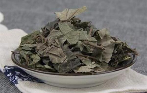 矮地茶能和猪肺同吃吗，能（应在医生指导下食用）