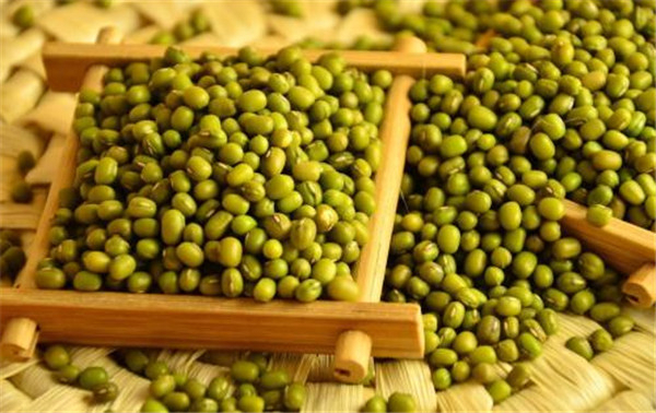 绿豆可以去湿气吗 绿豆可以清热解毒去湿气
