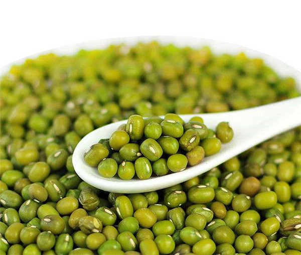 绿豆和山药可以一起吃吗 绿豆山药一起吃营养价值高