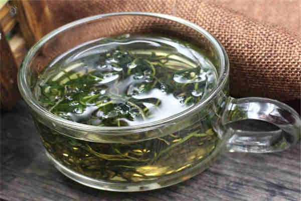 蒲公英茶和枸杞能一起喝吗 蒲公英茶可以天天喝吗