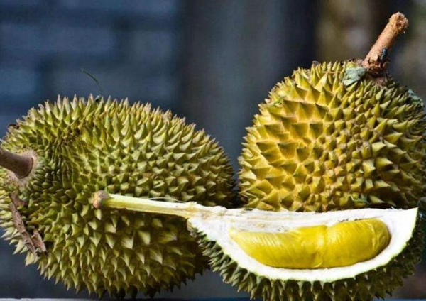 榴莲是热性还是凉性?热性（吃多了可能导致上火）