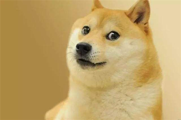 柴犬的祖先是什么