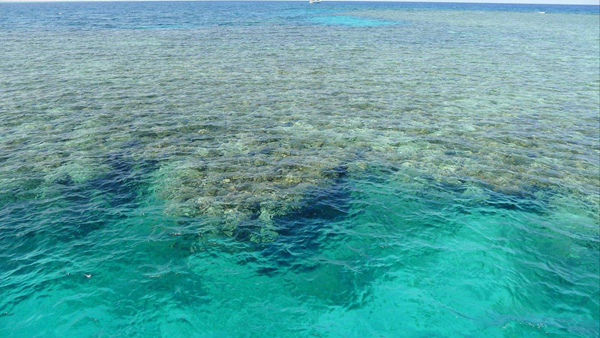 海水中含量最多的元素是什么?对于地球是至关重要的存在