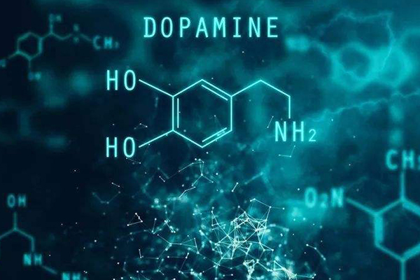 多巴胺是什么?大脑的奖励机制，产生愉悦感受(让人上瘾)