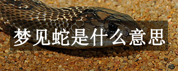 梦见蛇是什么意思？