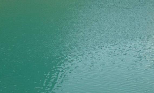 翻水水是什么意思?翻水水是什么梗表达了什么
