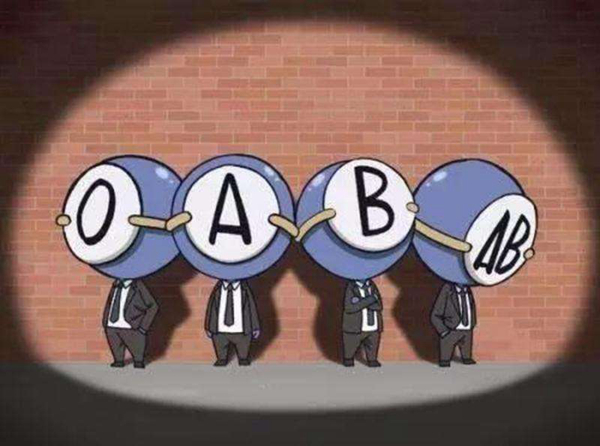ABO血型系统是什么?血型是按照什么来划分的