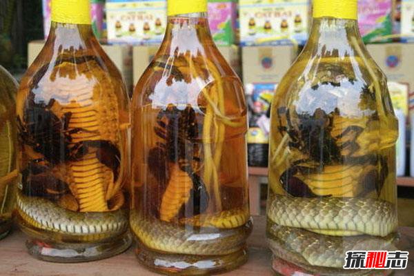 蛇泡酒两年后咬死人？蛇泡酒怎样才能保证安全